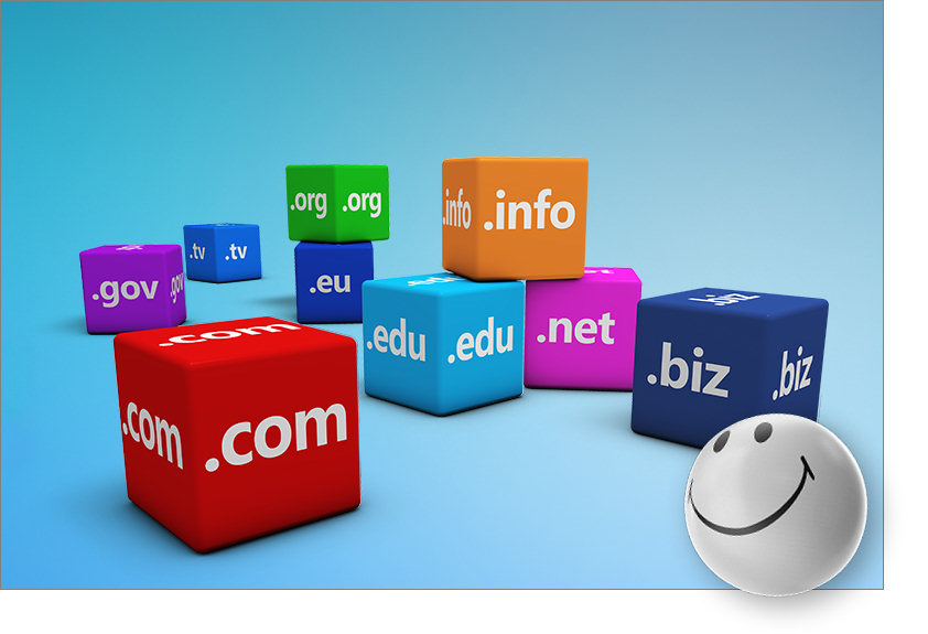 Entering search term or domain name into a browser