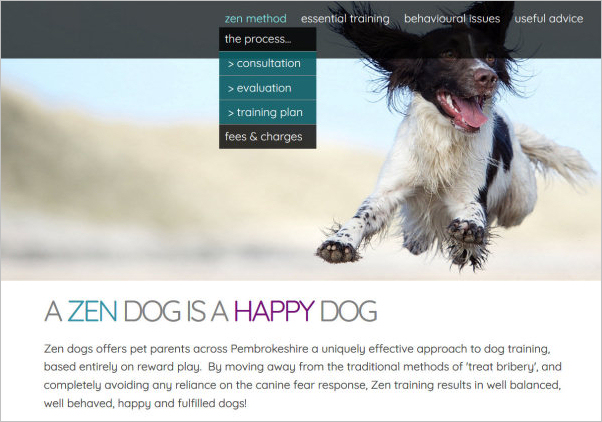Zendogs - dog training and behaviourist, Milford Haven