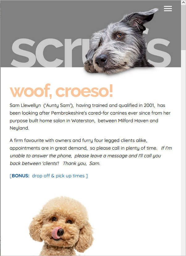 Scruffs dog grooming near Milford Haven