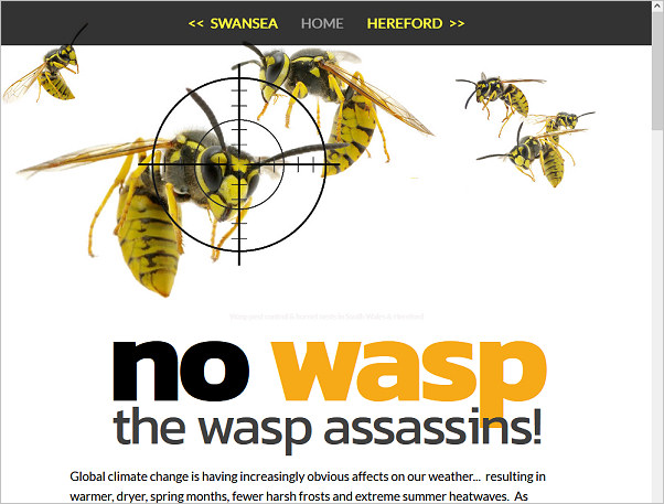 NoWasp pest control, Hereford & South Wales