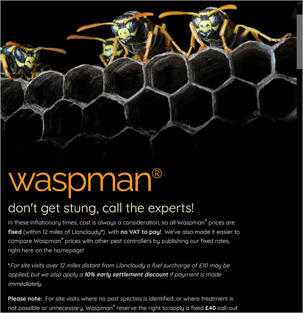 The 'Waspman' pest control, Hereford
