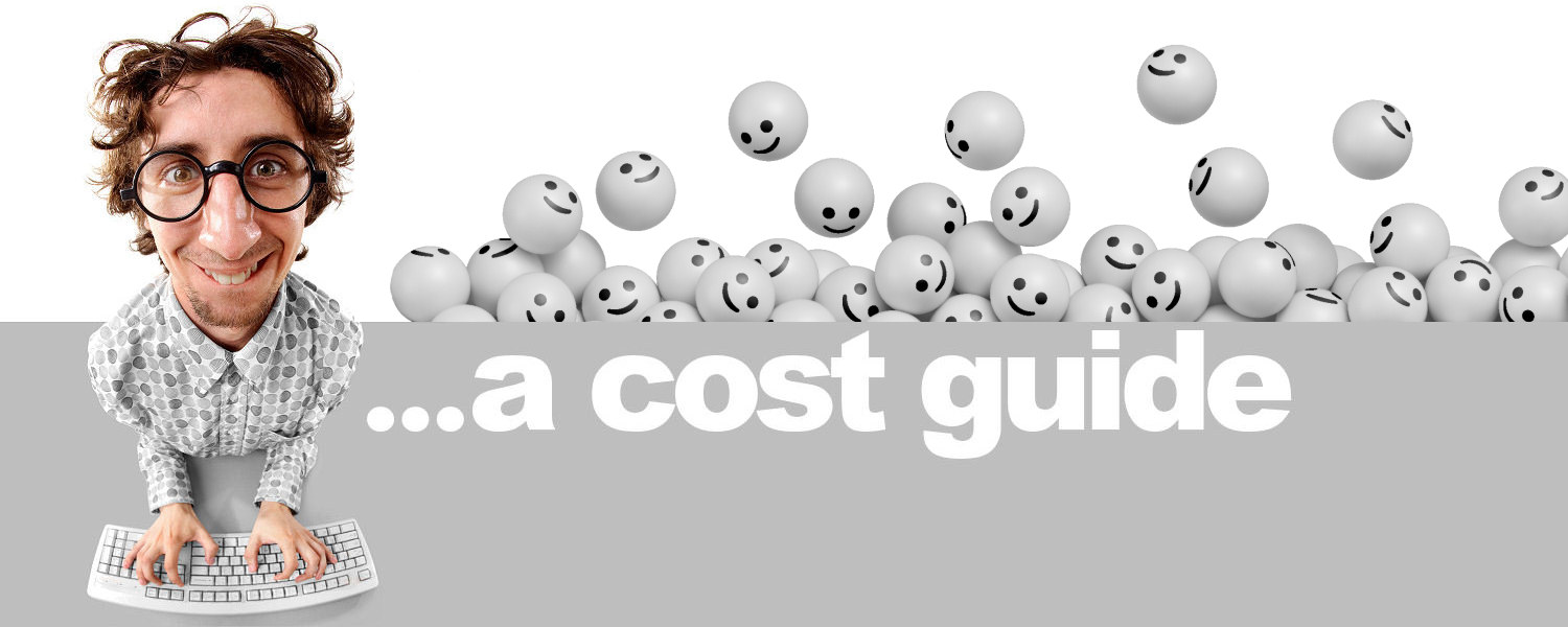 Website design cost header